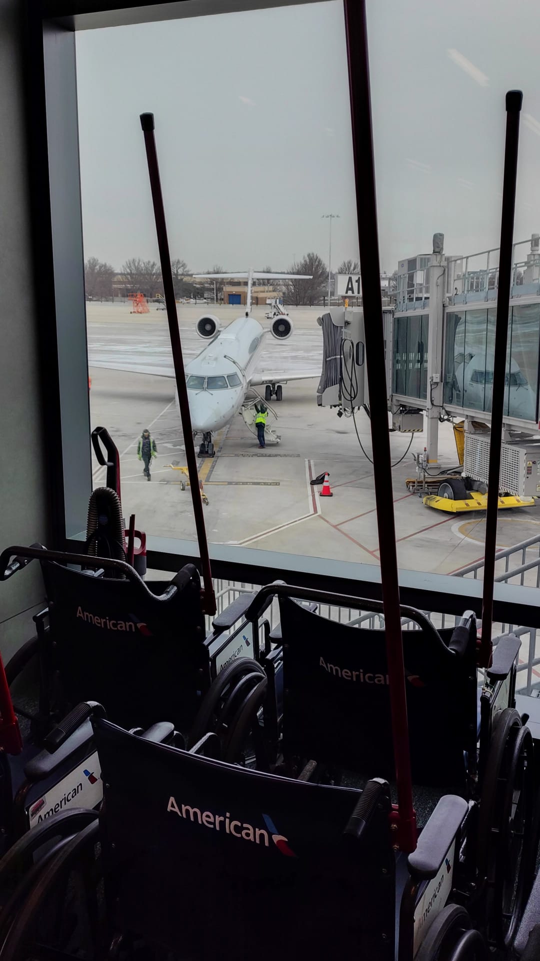 International repatriation
